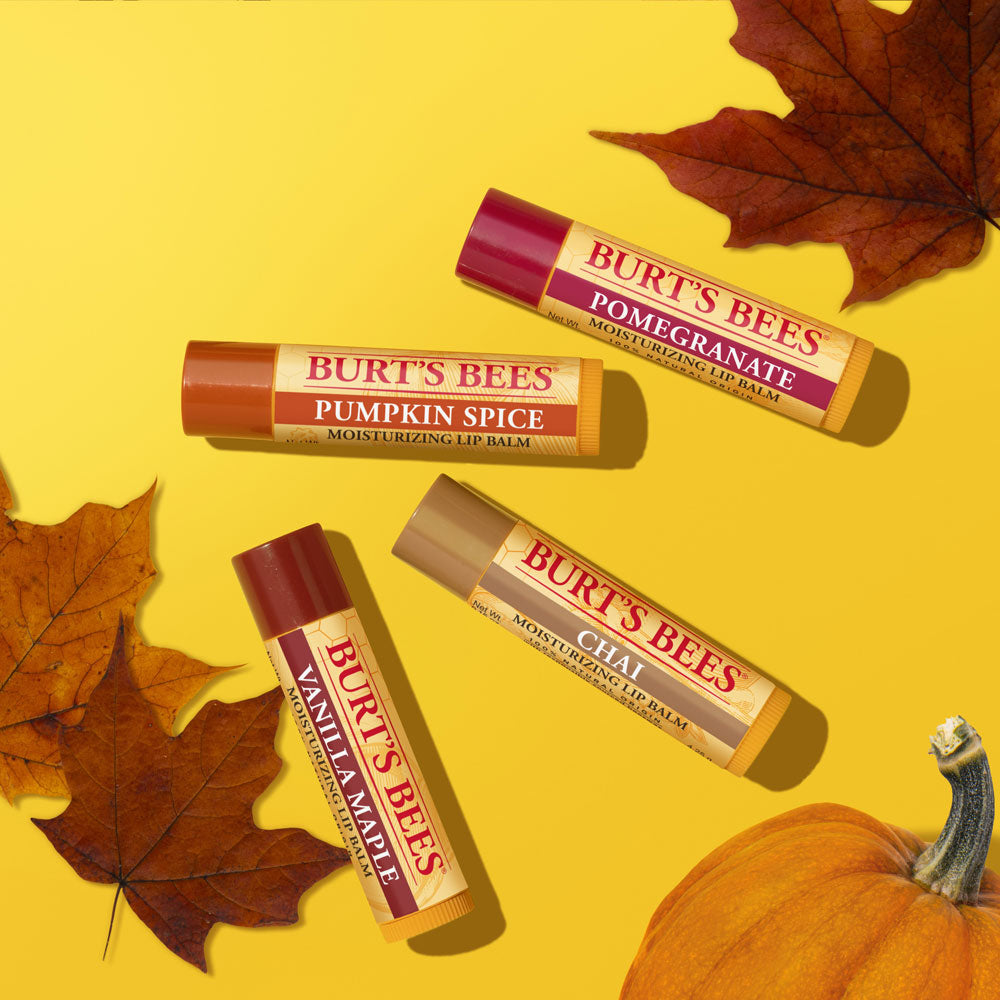 Burt's Bees Fall Lip Balm Gift Set
