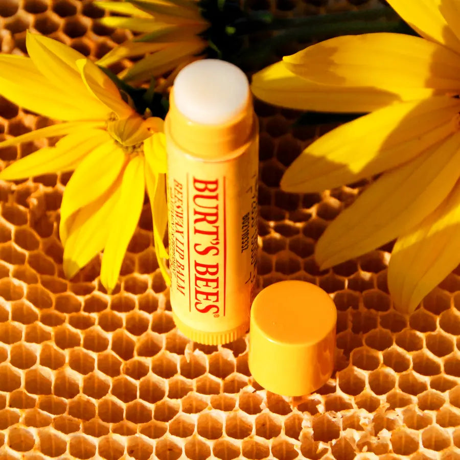 Burt’s Bees Moisturizing Lip Balm Original Beeswax