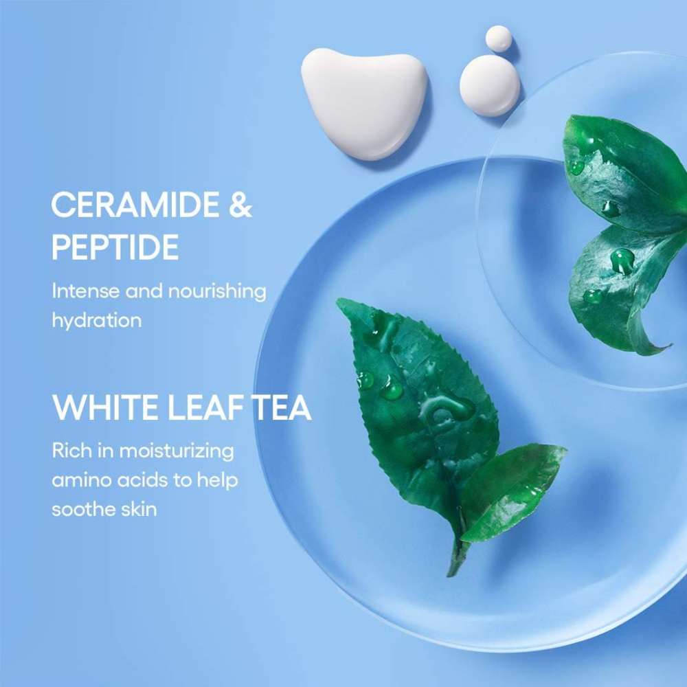 LANEIGE Cream Skin Toner & Moisturizer