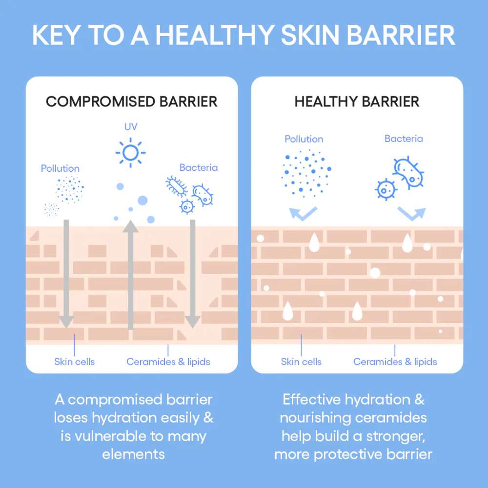 LANEIGE Cream Skin Toner & Moisturizer