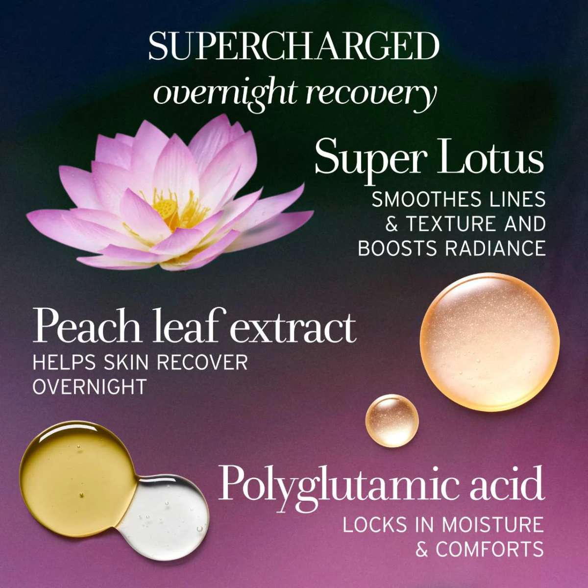 fresh Lotus Youth Preserve Radiance Renewal Night Cream