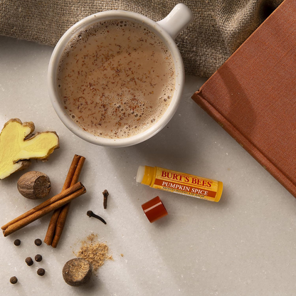 Burt’s Bees Pumpkin Spice Lip Balm